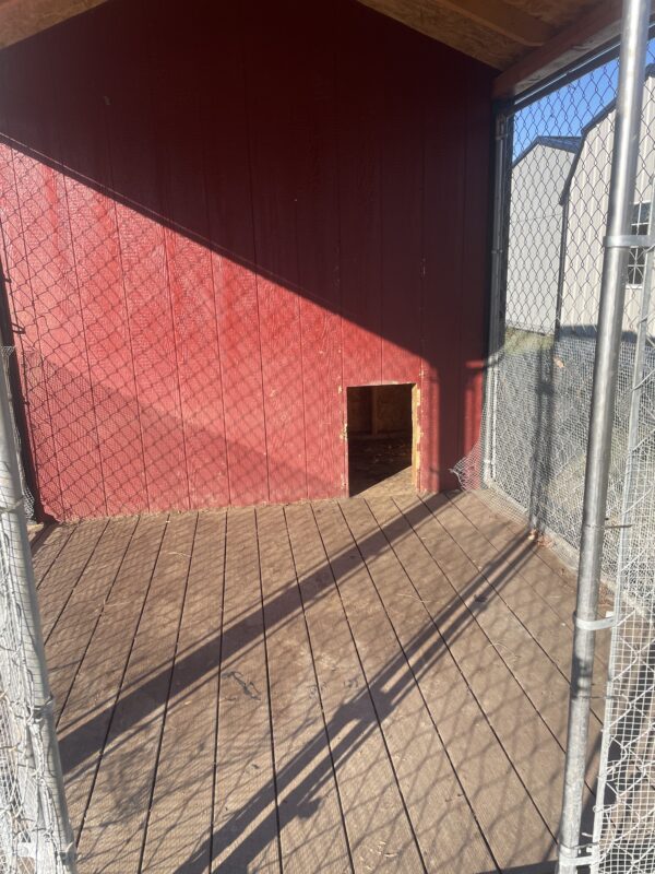 8x12 Dog Kennel - Image 4